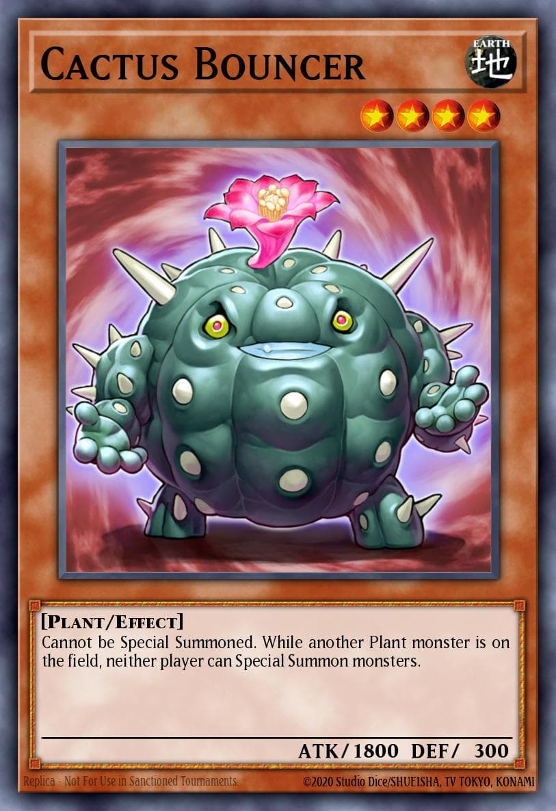 Cactus Bouncer